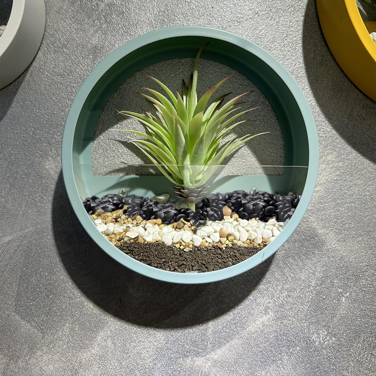 Pulovin arranged on a tabletop with plants showing modern decorative appeal