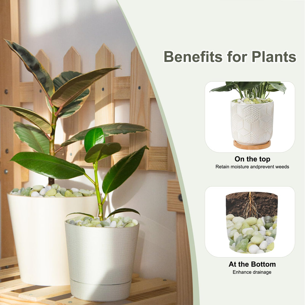 Pulovin pebbles topping a potted plant for neat appearance and protection