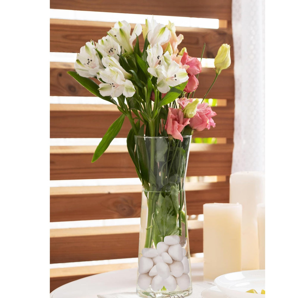 Pulovin stones top-dressing a potted plant demonstrating tidy surface and moisture control