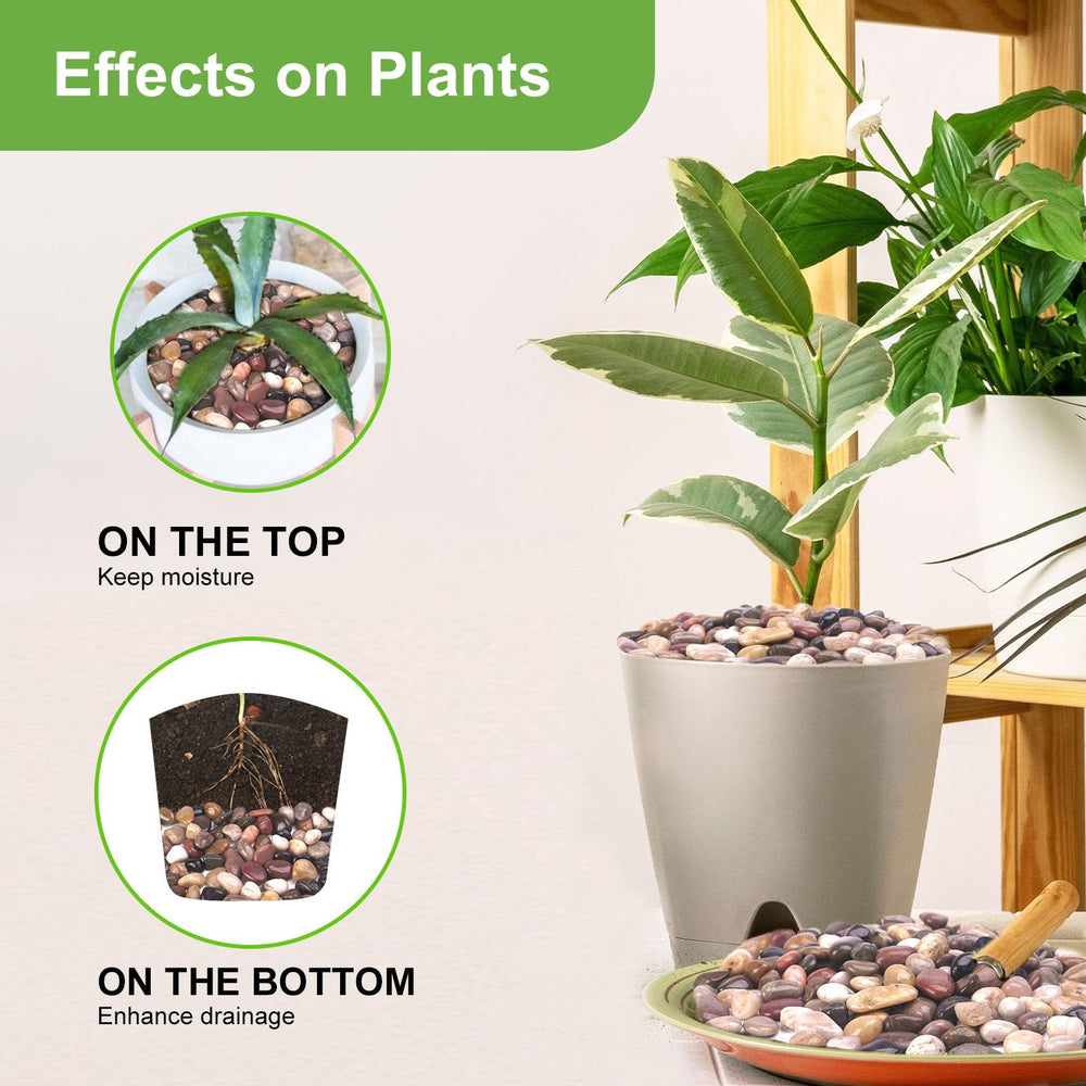 Pulovin stones used as pot topper on indoor plant giving neat appearance and soil protection