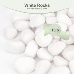 Pulovin white rocks filling a glass vase to accent flowers and create clean display