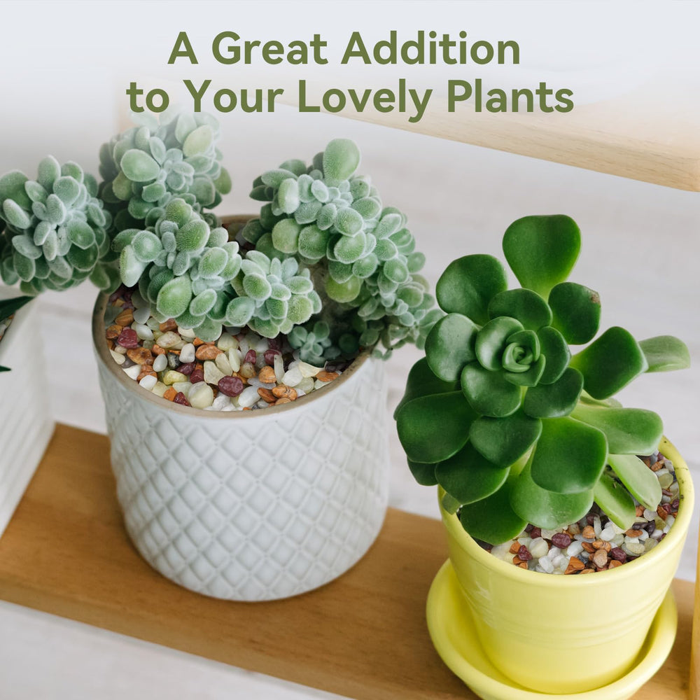 Pulovin top dressing on succulent plant giving a neat, protective surface layer