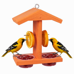 Pultio front view of orange feeder showing dual cups and bright perches attracting orioles