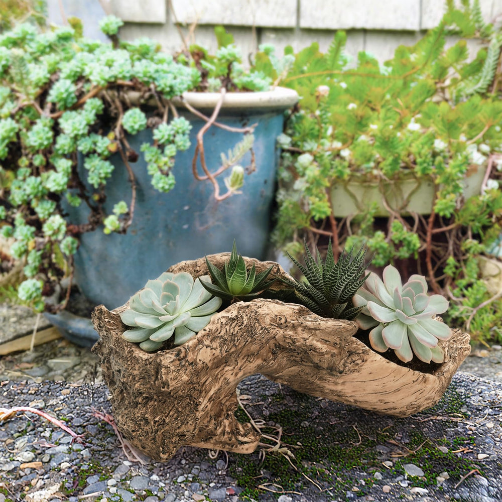 Pumtus planter underside showing drainage hole for healthier plant roots