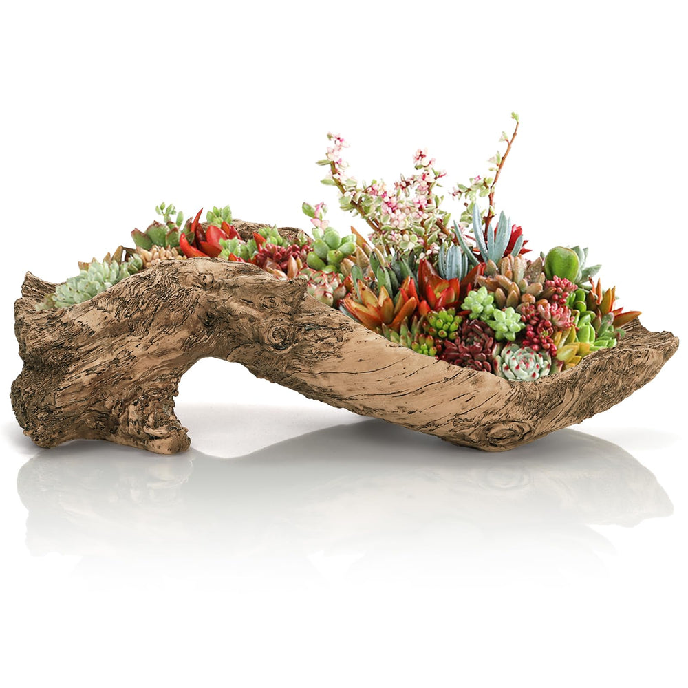 Pumtus driftwood planter front view showing realistic wood grain and rustic style