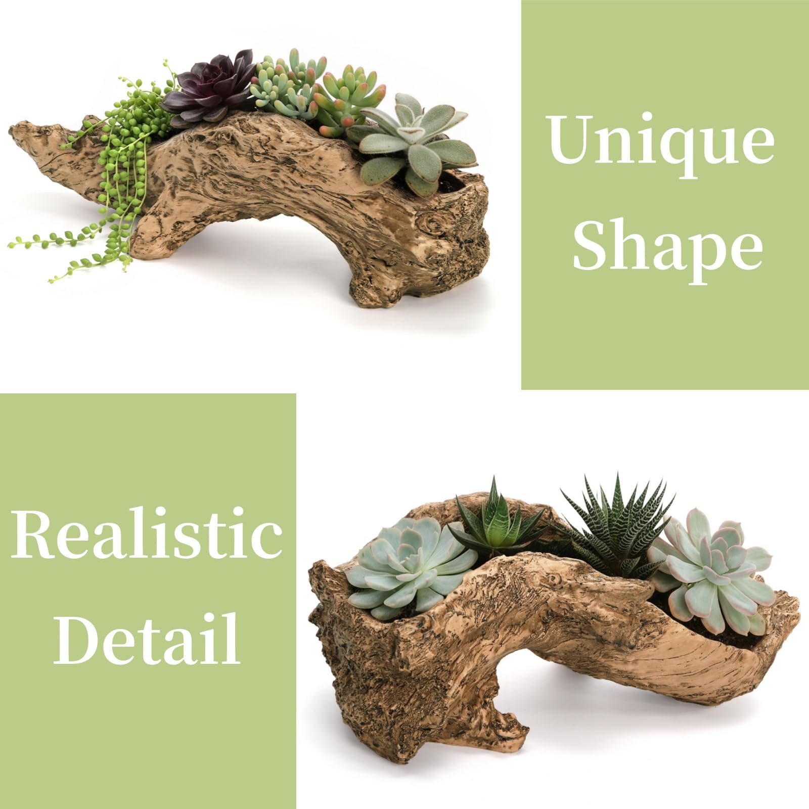 Pumtus planter filled with succulents showing natural display and easy styling