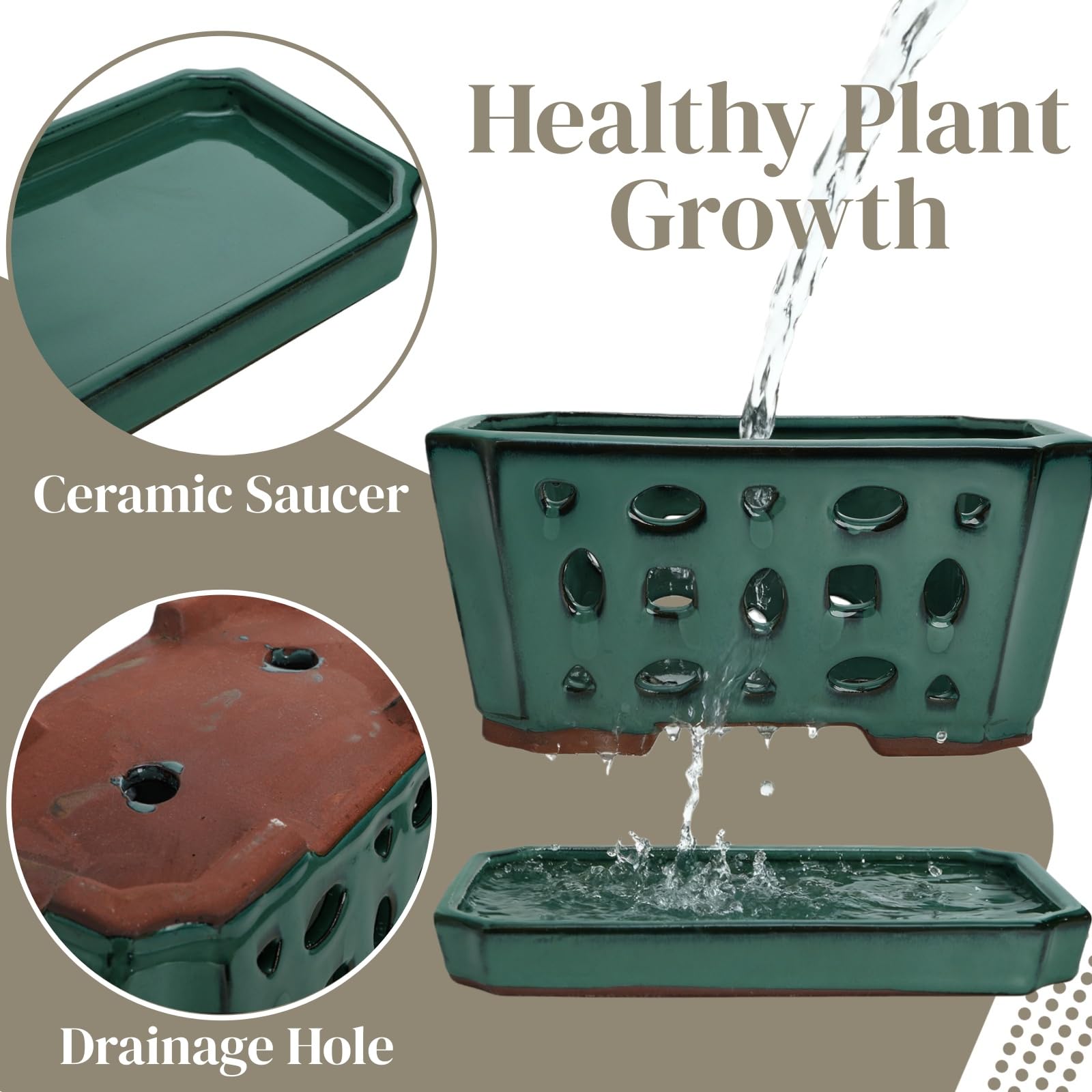 Pumtus repotting tools with gloves and shovels for easier transplanting