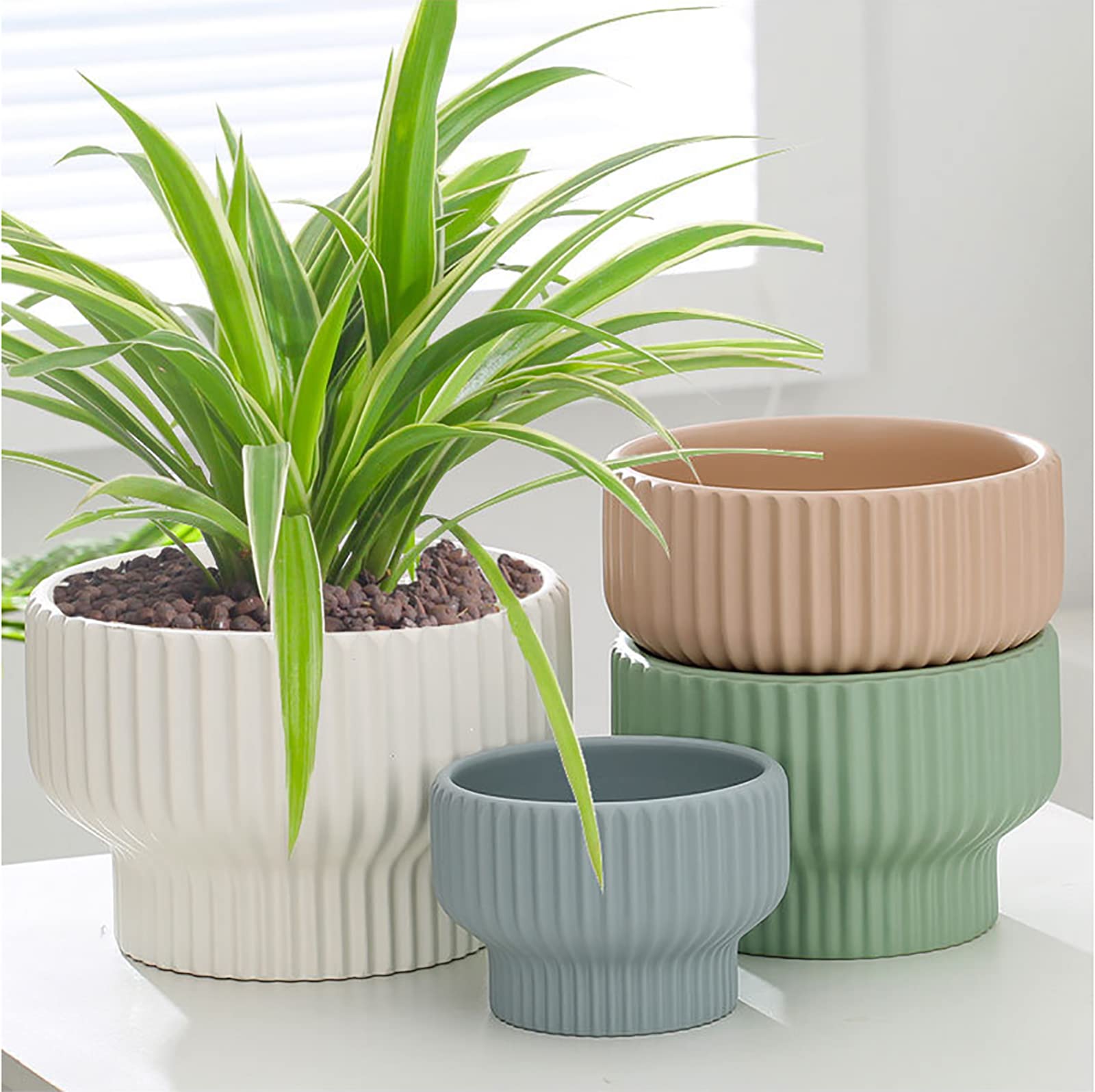 Puoyikt planted pots with succulents showing stylish display and healthy growth