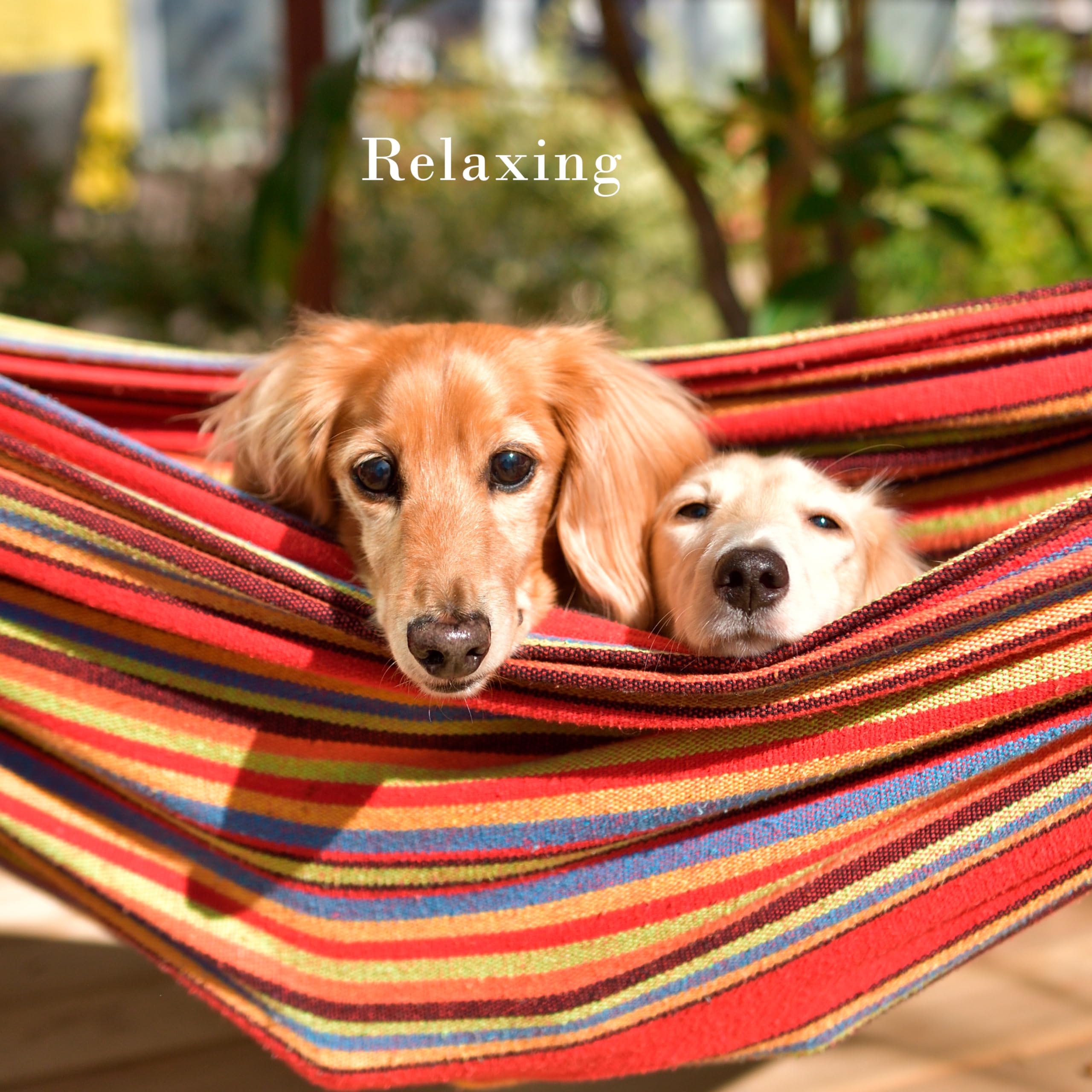 Pure Garden hammock on patio with pillows showing inviting outdoor relaxation and durable frame