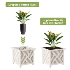 Pure Garden side profile with plant illustrating stable support and style
