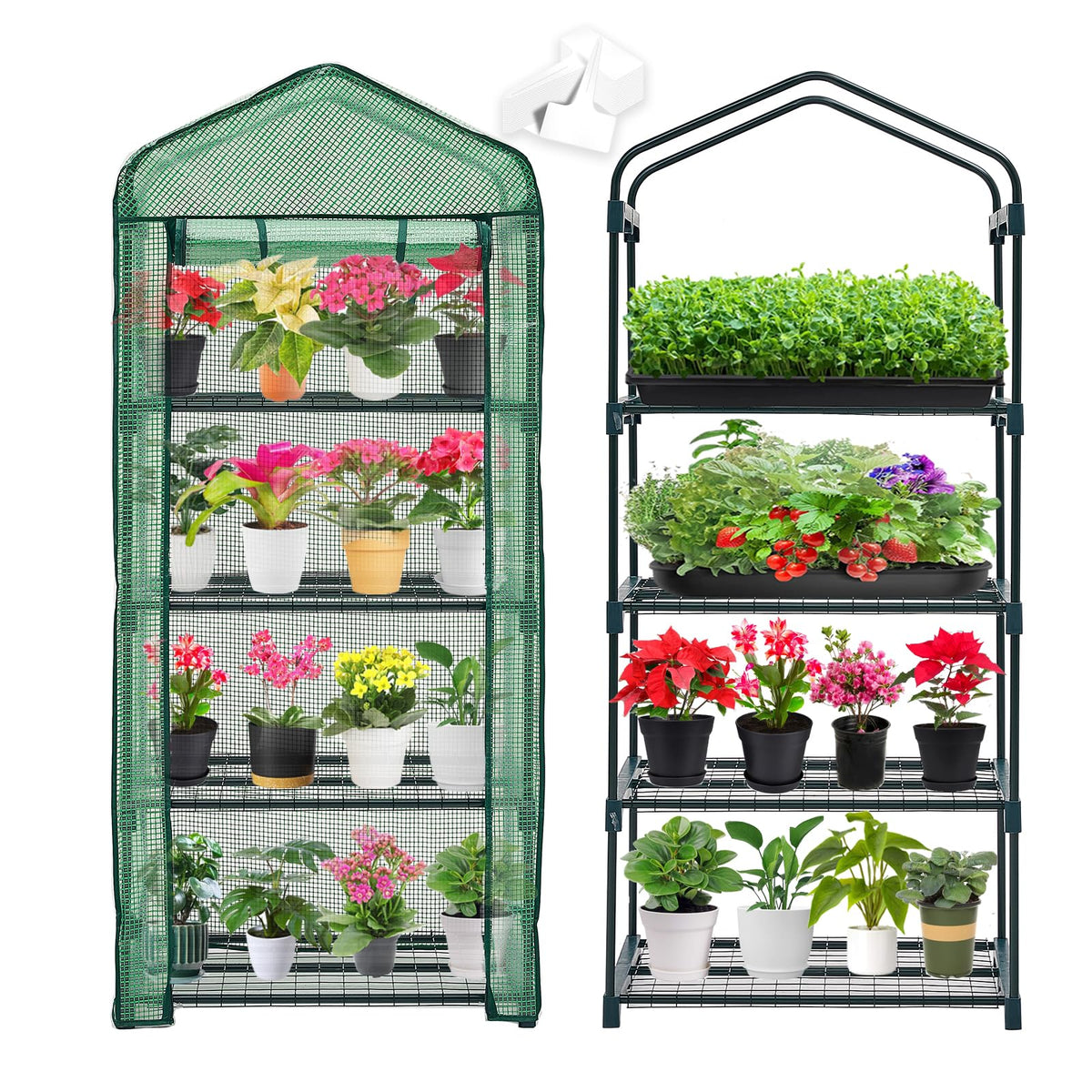 Purlyu front view full setup showing compact greenhouse protecting multiple pots