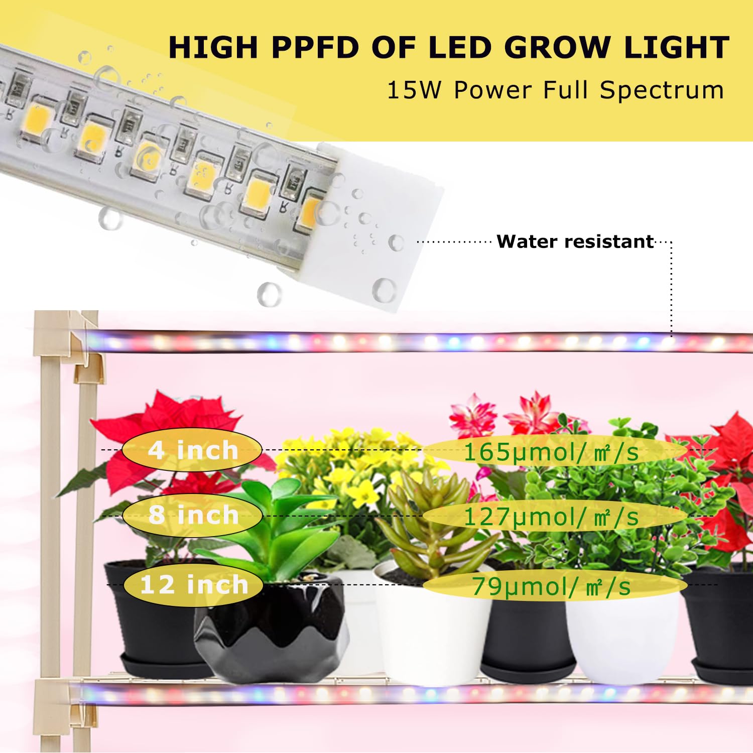 Purlyu scale comparison with person showing 75-inch height benefit room for tall plants