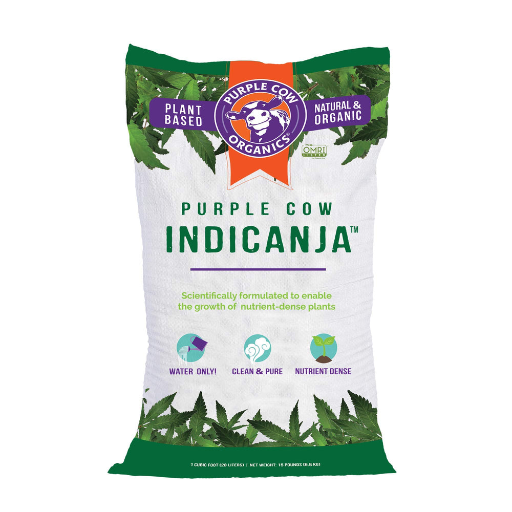 Purple Cow Organics bolsa IndiCanja vista frontal, paquete listo para cultivo