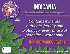 Purple Cow Organics detalle de textura del suelo en mano, muestra rica en compost