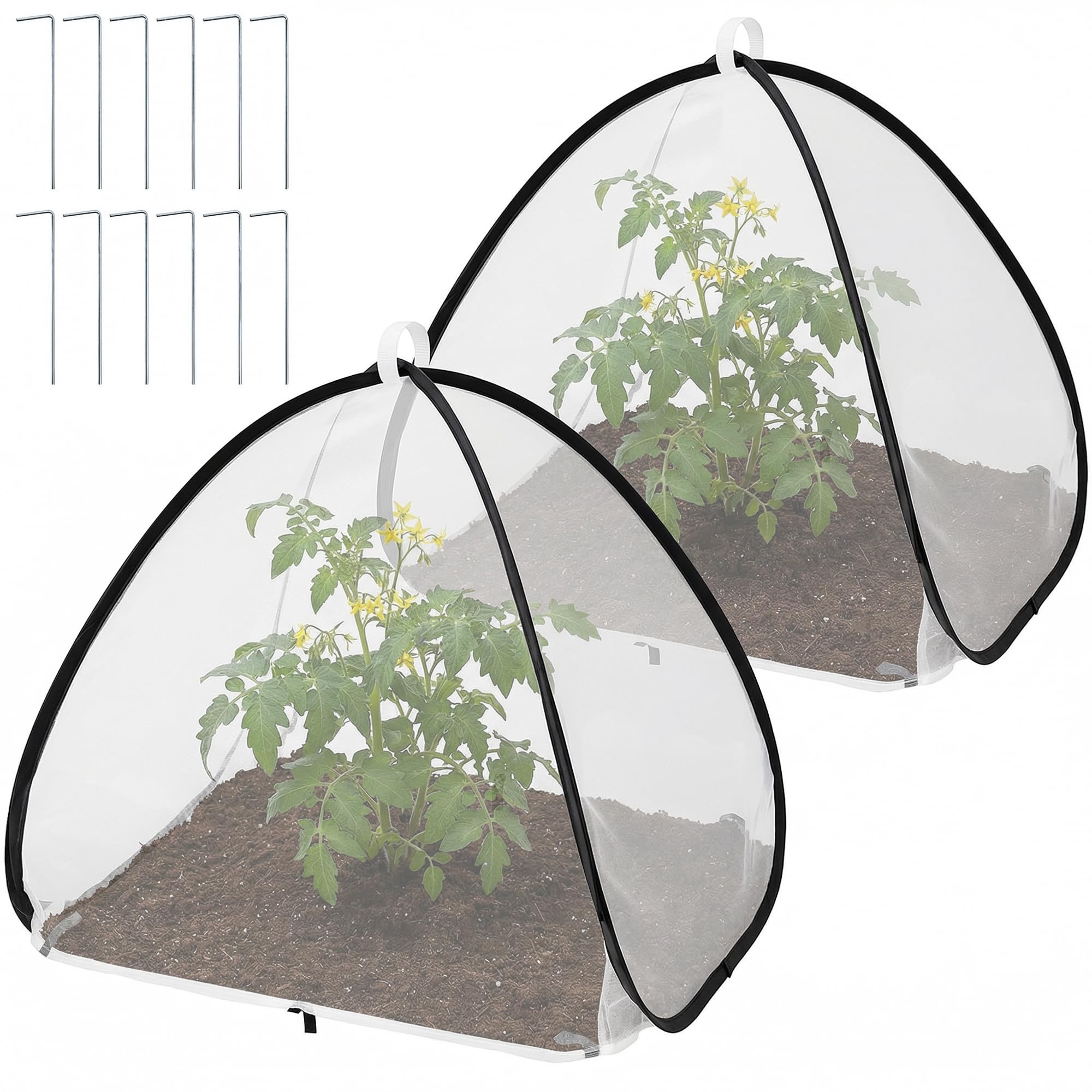 PURPLE STAR 1N front view of pop-up plant cover tent showing full protection