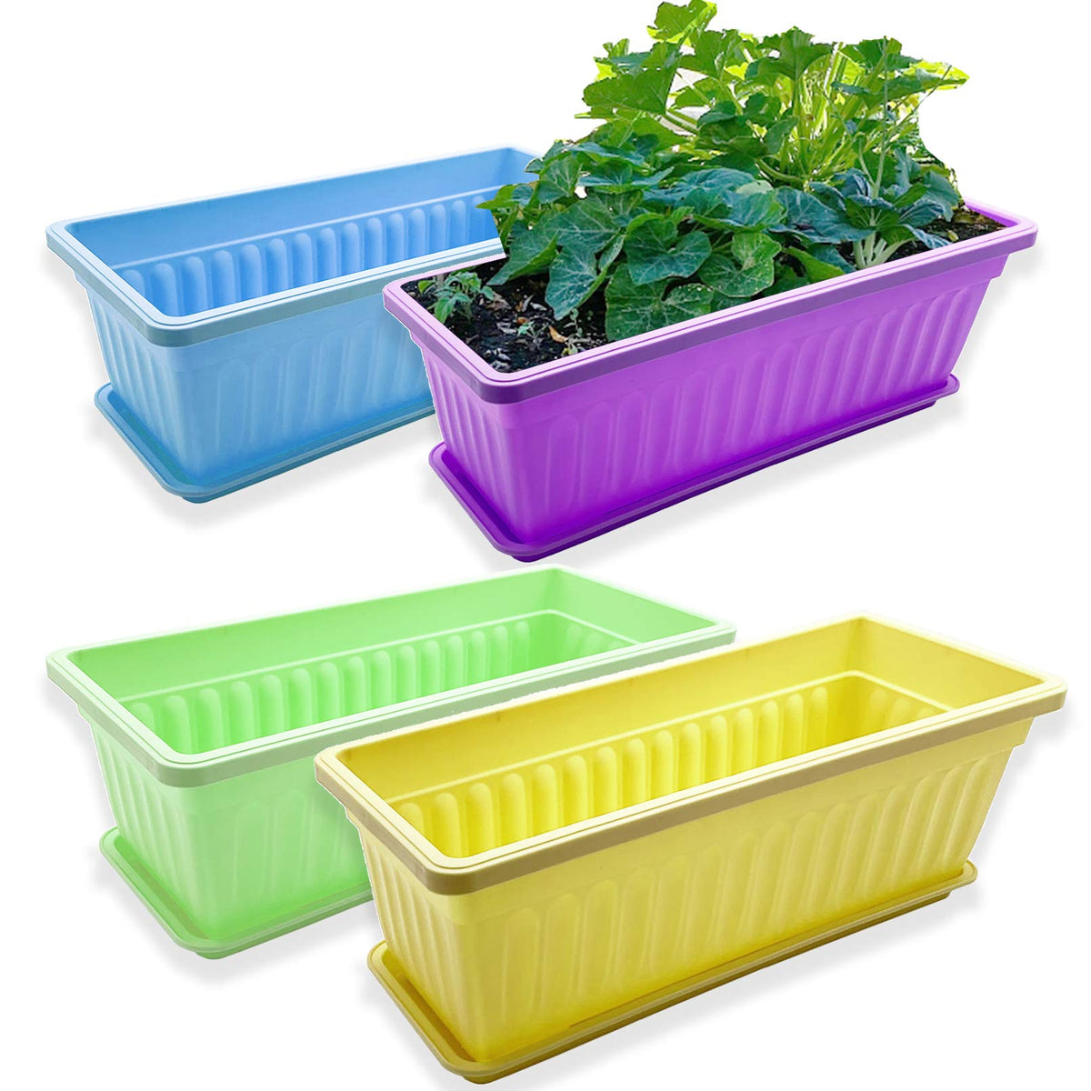 PURPLE STAR 1N front view of four matching planters showing uniform row and clean lines