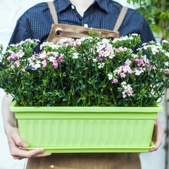 PURPLE STAR 1N in use on balcony with flowers providing curb appeal and space-saving benefit