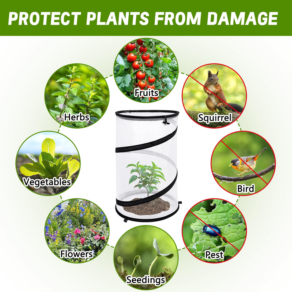 PURPLE STAR 1N cover in use over tomato plant protecting from birds and pests