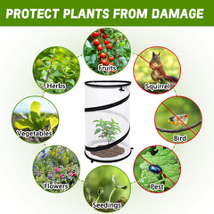 PURPLE STAR 1N cover in use over tomato plant protecting from birds and pests