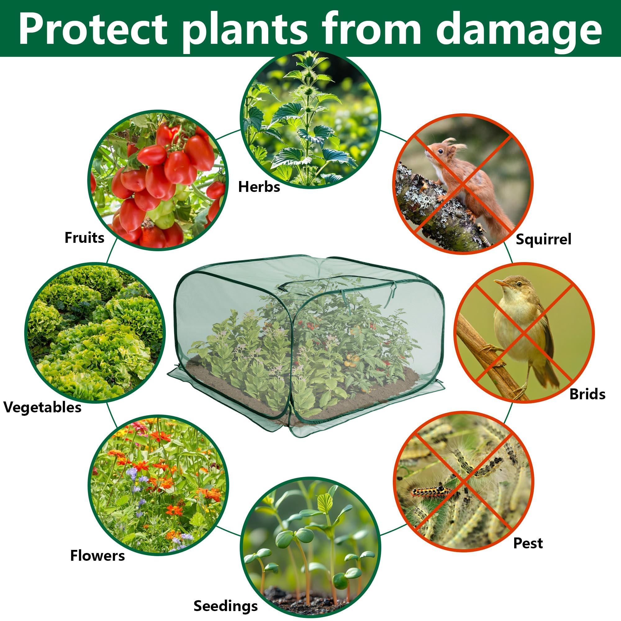 PURPLE STAR 1N cover placed over vegetable bed protecting crops from birds