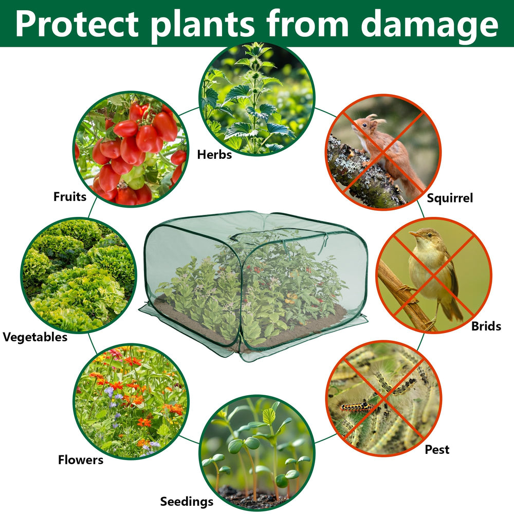 PURPLE STAR 1N cover placed over vegetable bed protecting crops from birds