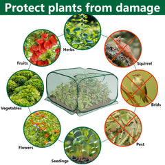 PURPLE STAR 1N cover placed over vegetable bed protecting crops from birds