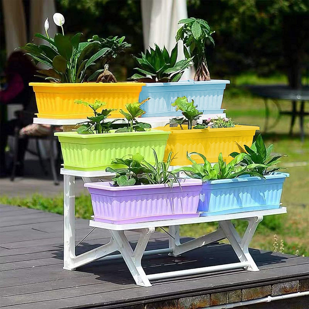 PURPLE STAR 1N size comparison beside ruler showing 16.8-inch length for planting choices
