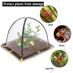 PURPLE STAR 1N tent installed over strawberry bed keeping birds away