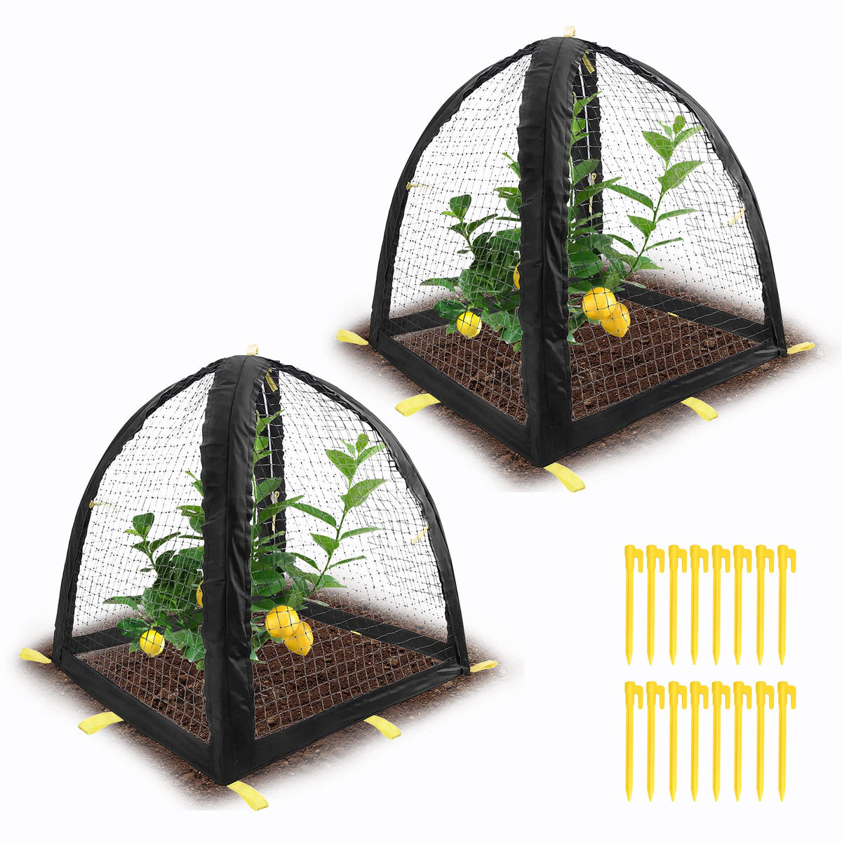 PURPLE STAR front view of mesh cloche protecting garden plants, shows coverage benefit