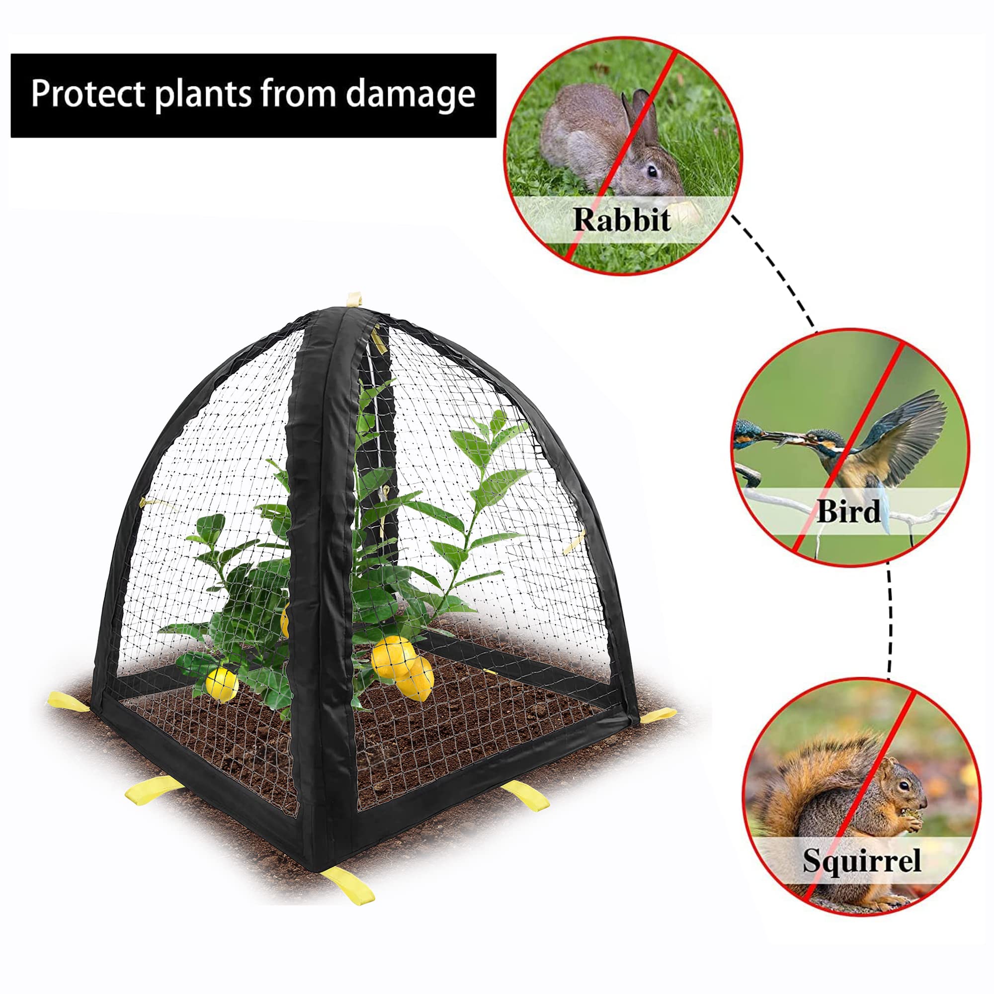 PURPLE STAR mesh cloche in use over potted tomato, keeps squirrels and birds away