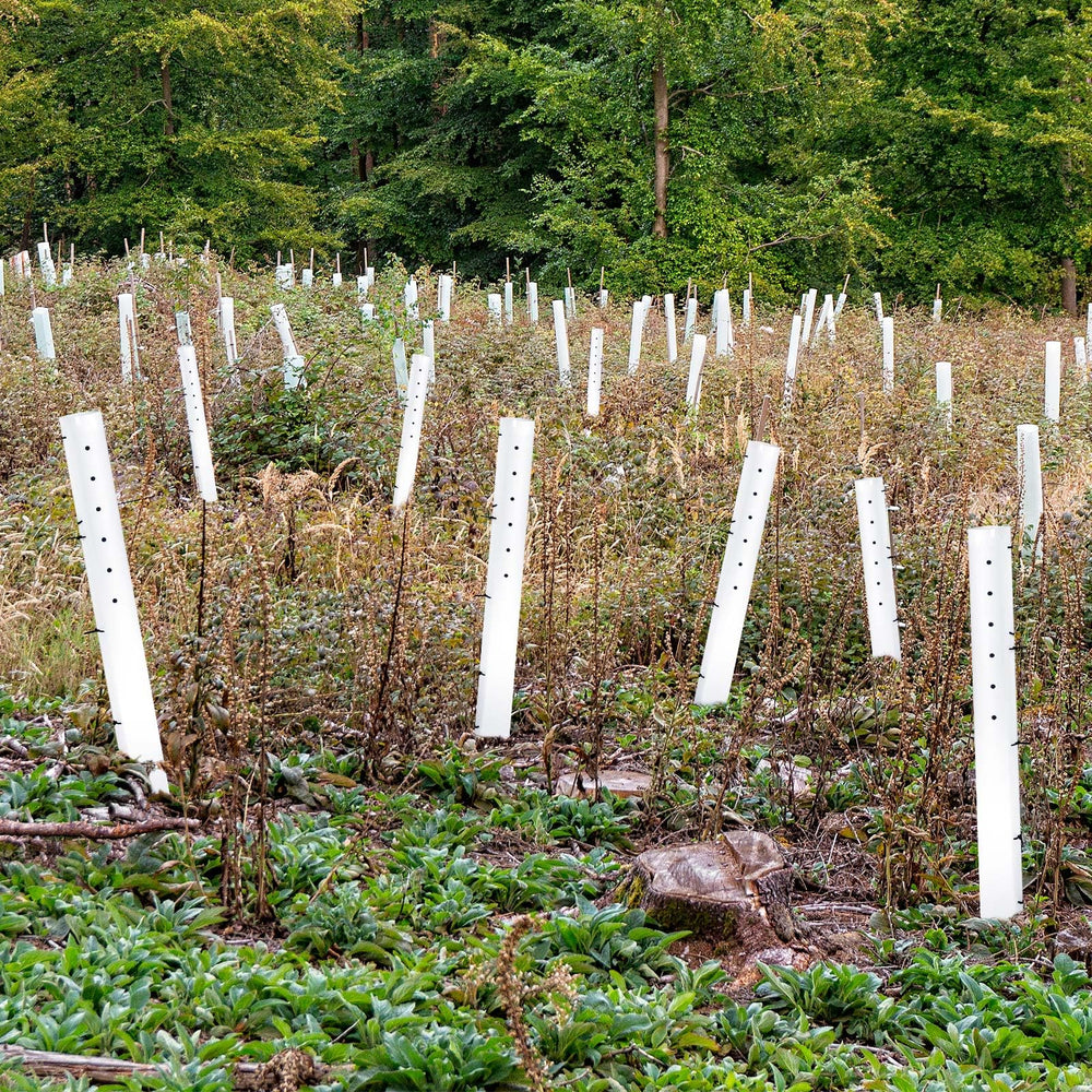 Pushglossy tubes installed across a garden demonstrating orderly plant protection