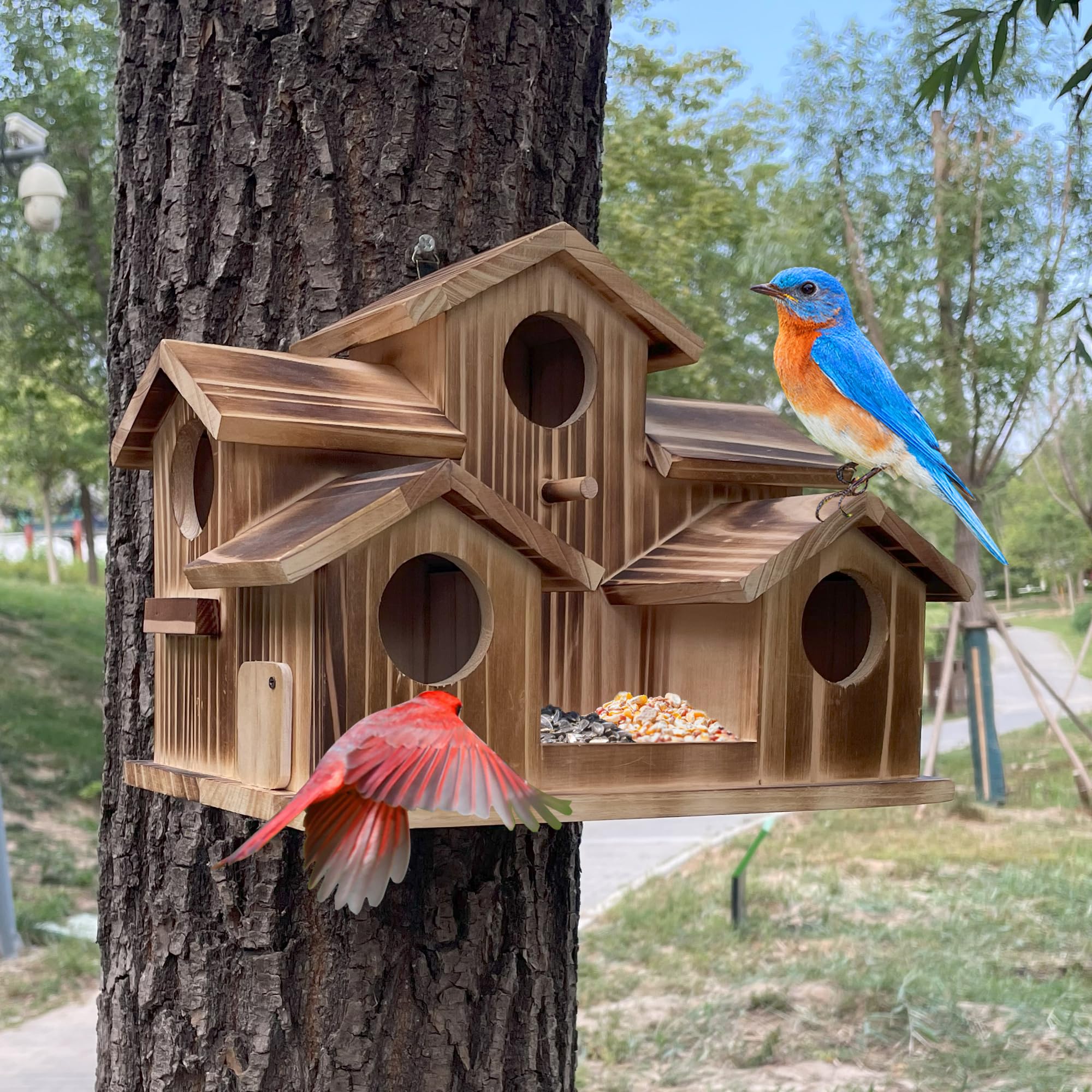 puyikes front view showing five entrances and decorative charm attracting birds