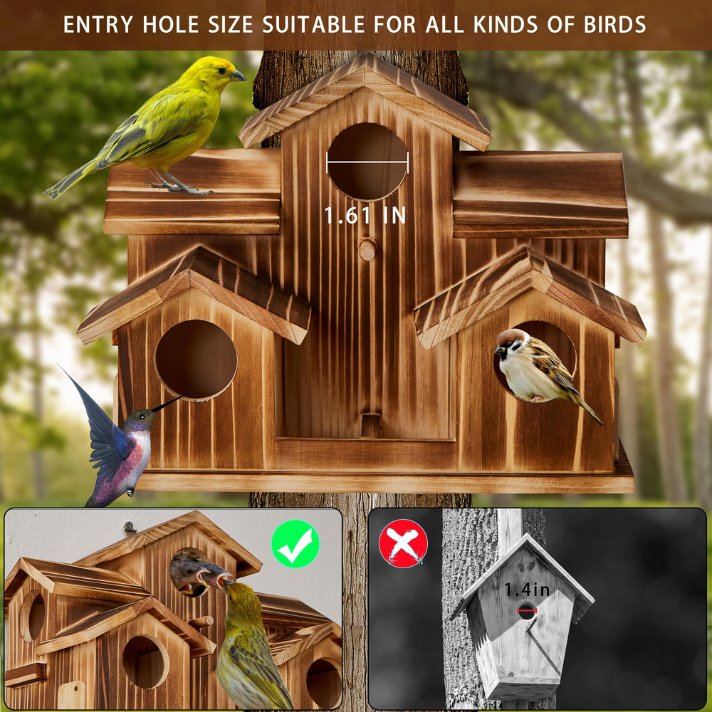 puyikes placed next to ruler demonstrating actual size for proper planning