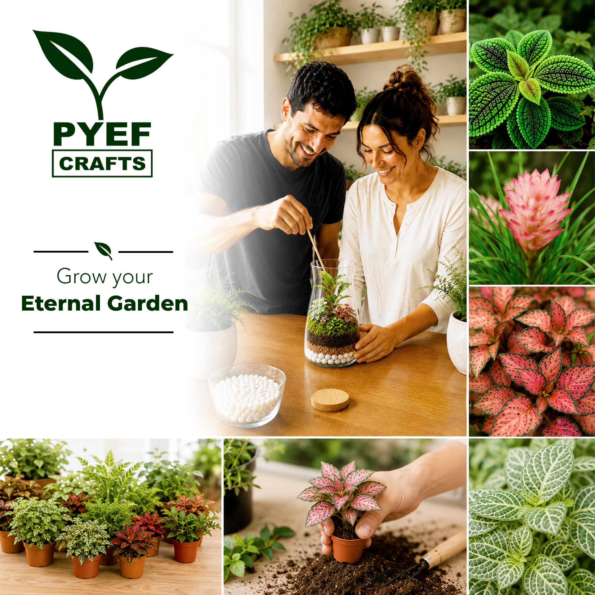 PYEF CRAFTS decorative stones and sphagnum moss showing natural aesthetic options