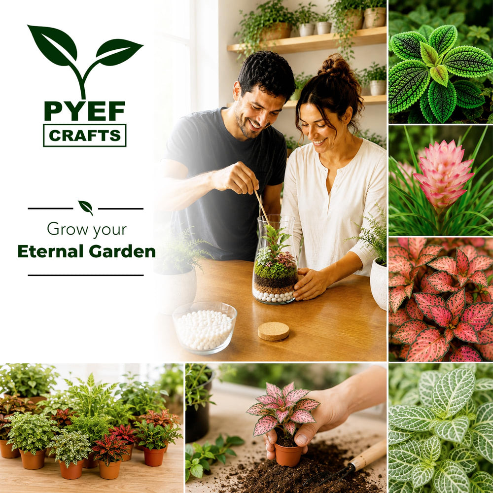 PYEF CRAFTS decorative stones and sphagnum moss showing natural aesthetic options