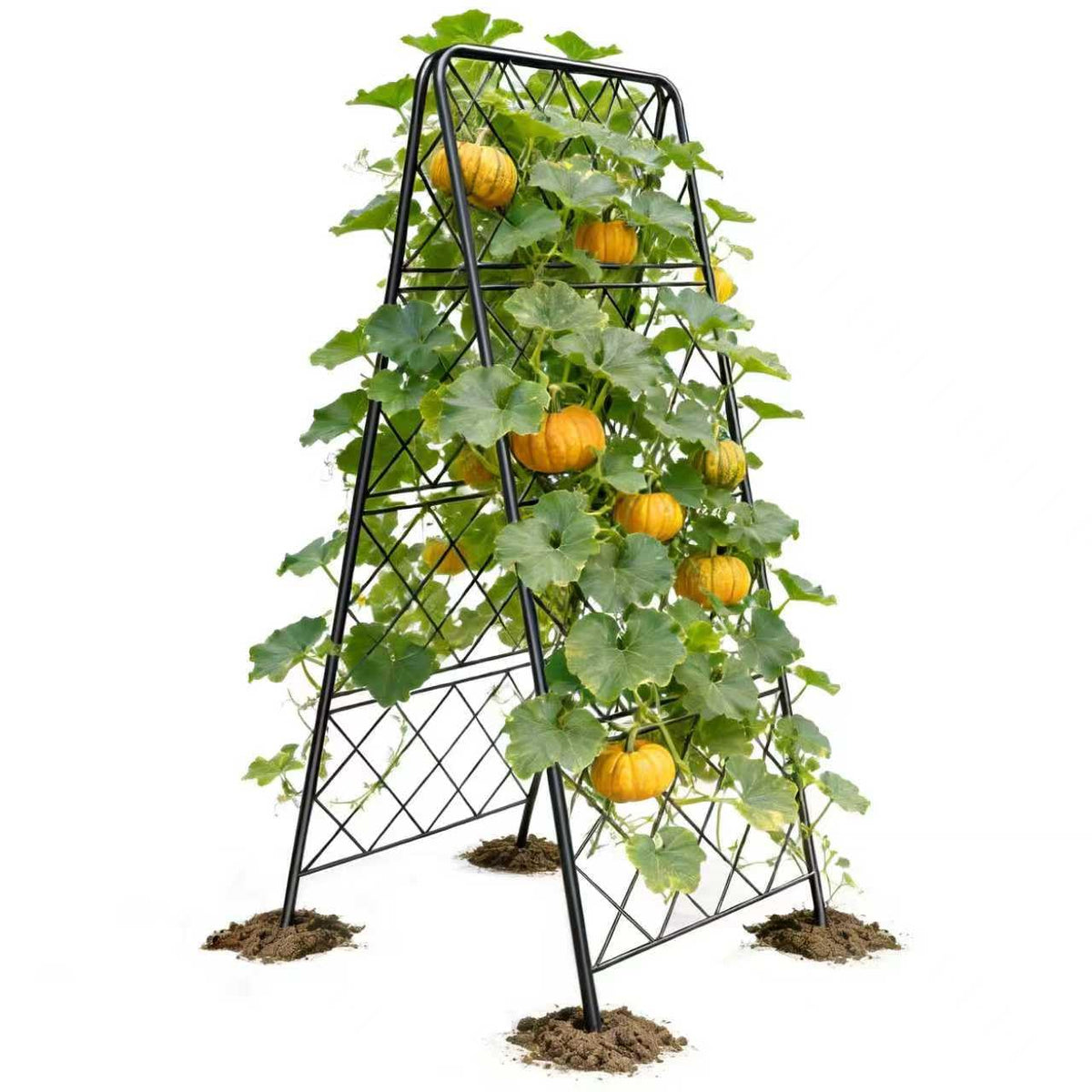 PyraLine front view of A-frame trellis showing stable support for vines