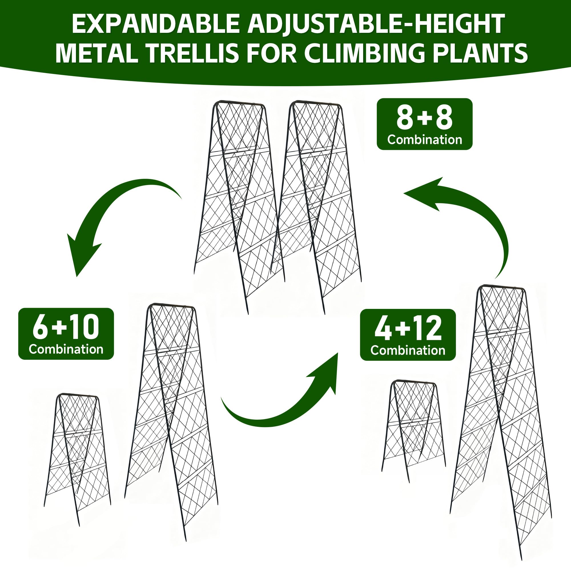 PyraLine trellis fully extended to 50 inches illustrating adjustable height