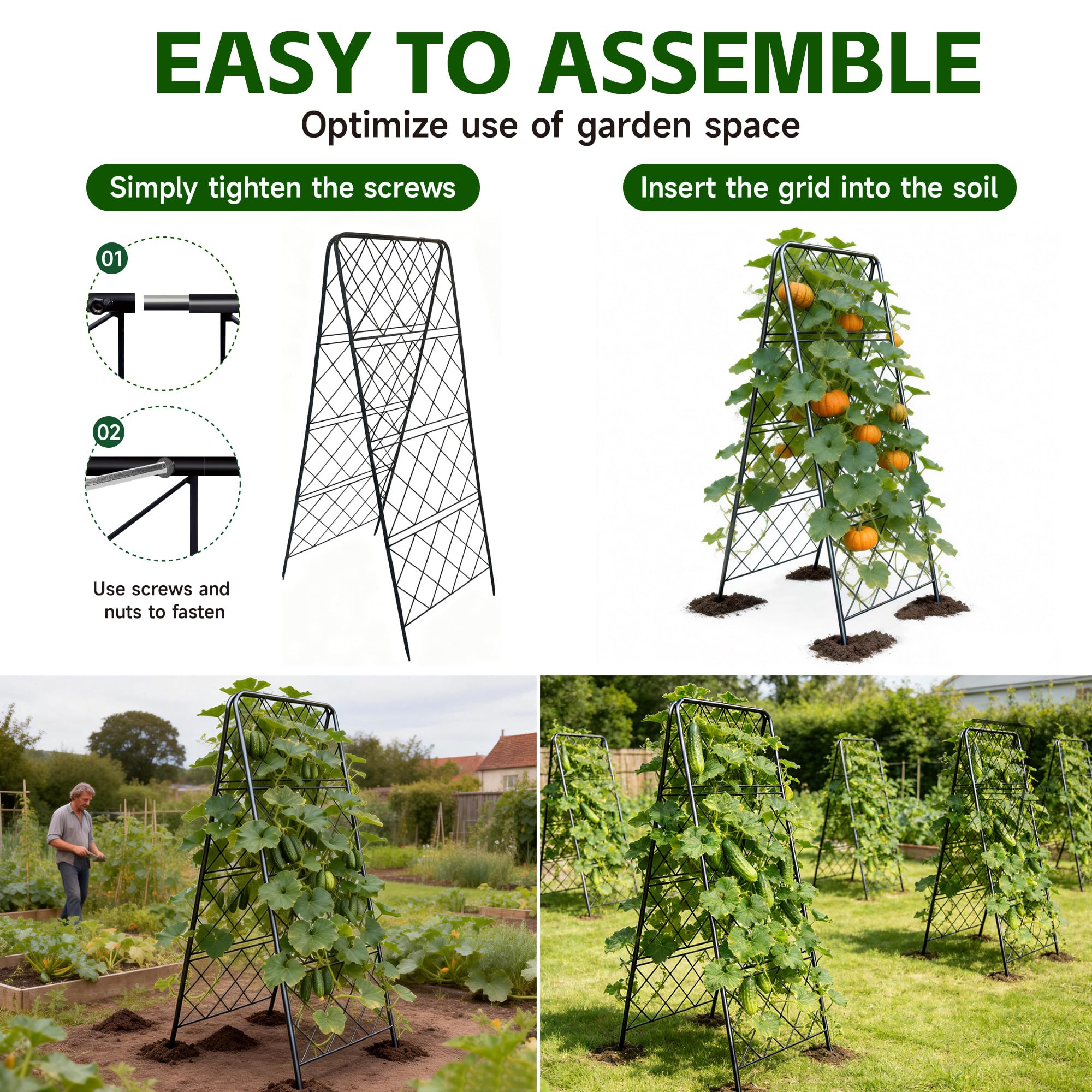 PyraLine trellis in a sunny garden with tomatoes showing practical use