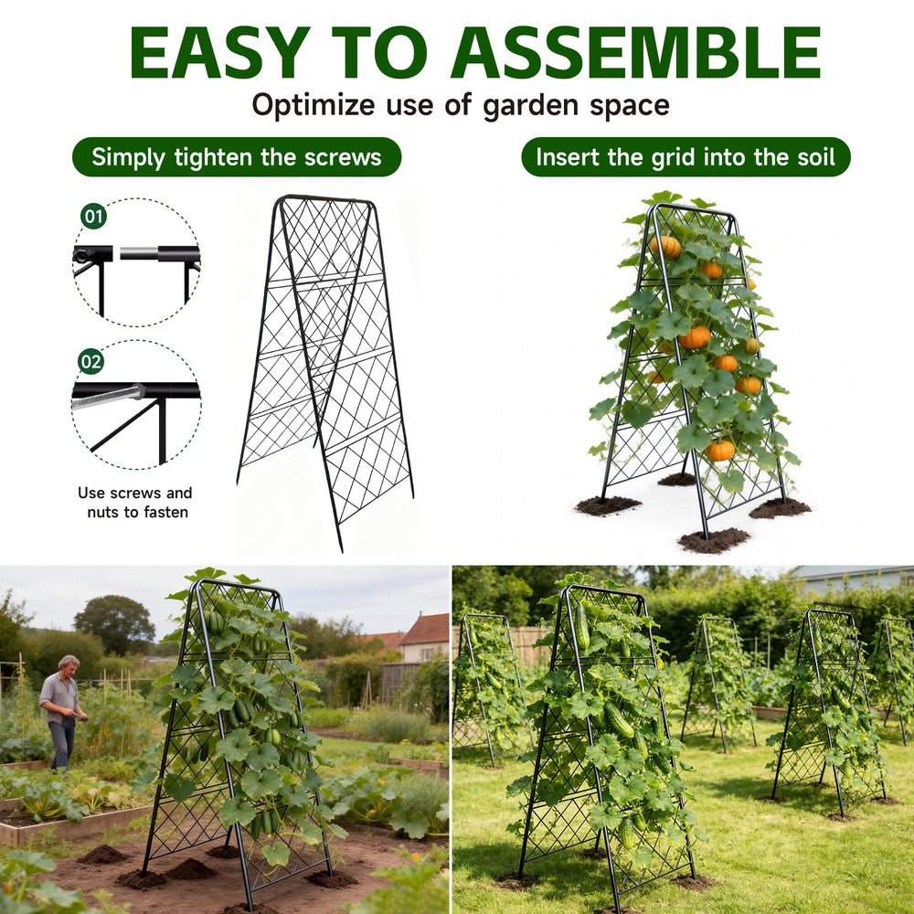 PyraLine trellis in a sunny garden with tomatoes showing practical use