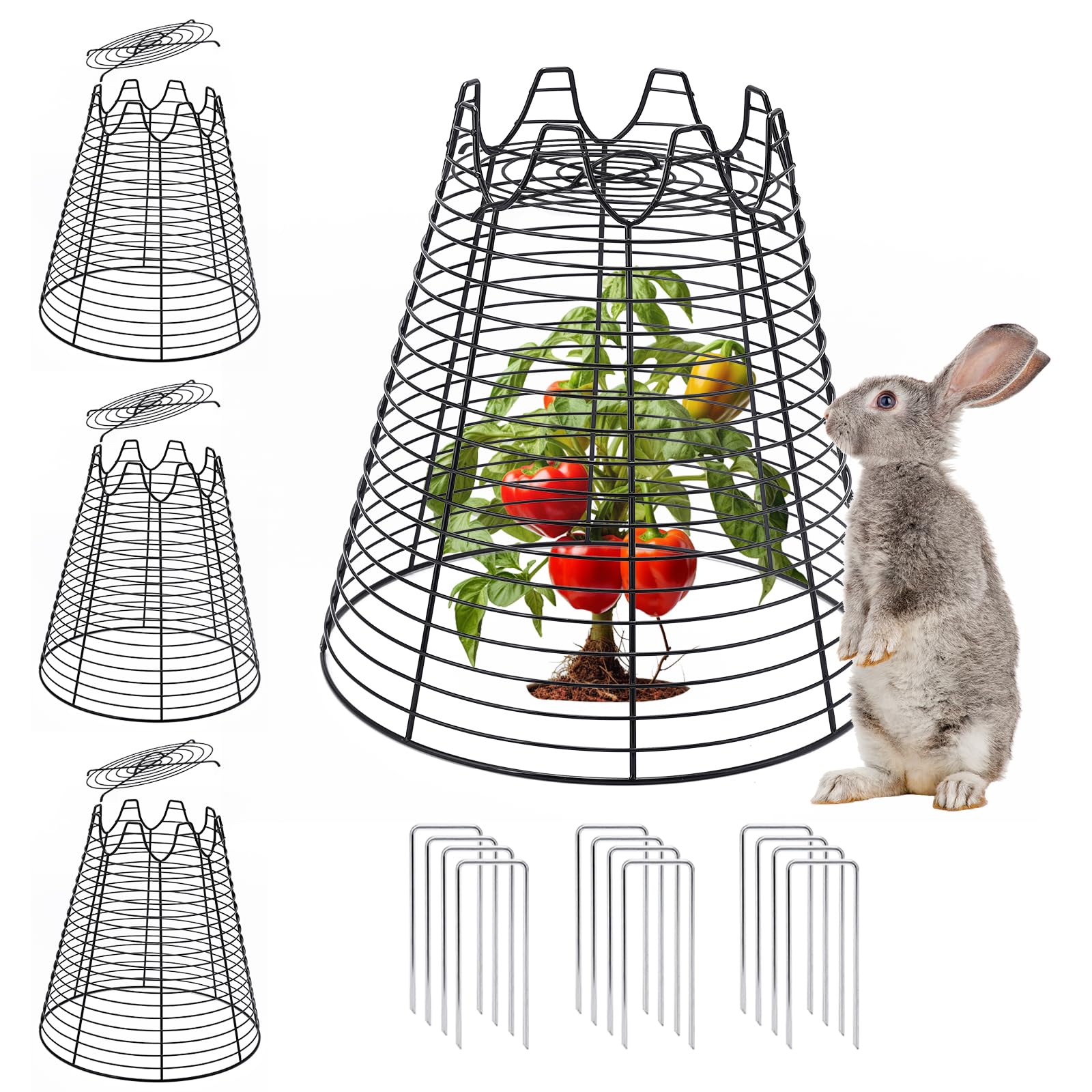 Qaobo front view of four black metal plant cloches showing compact package and benefit of neat protection