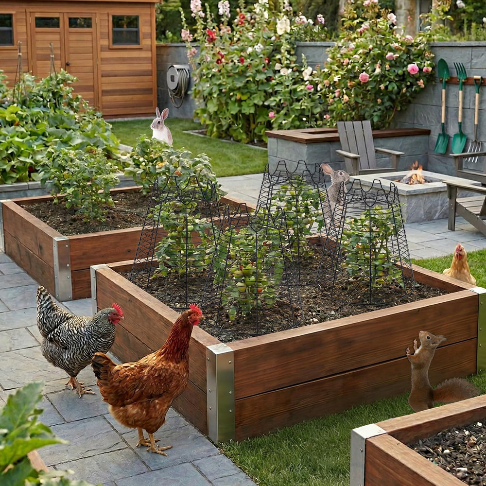 Qaobo garden scene with cloches protecting young plants adding tidy decorative appeal
