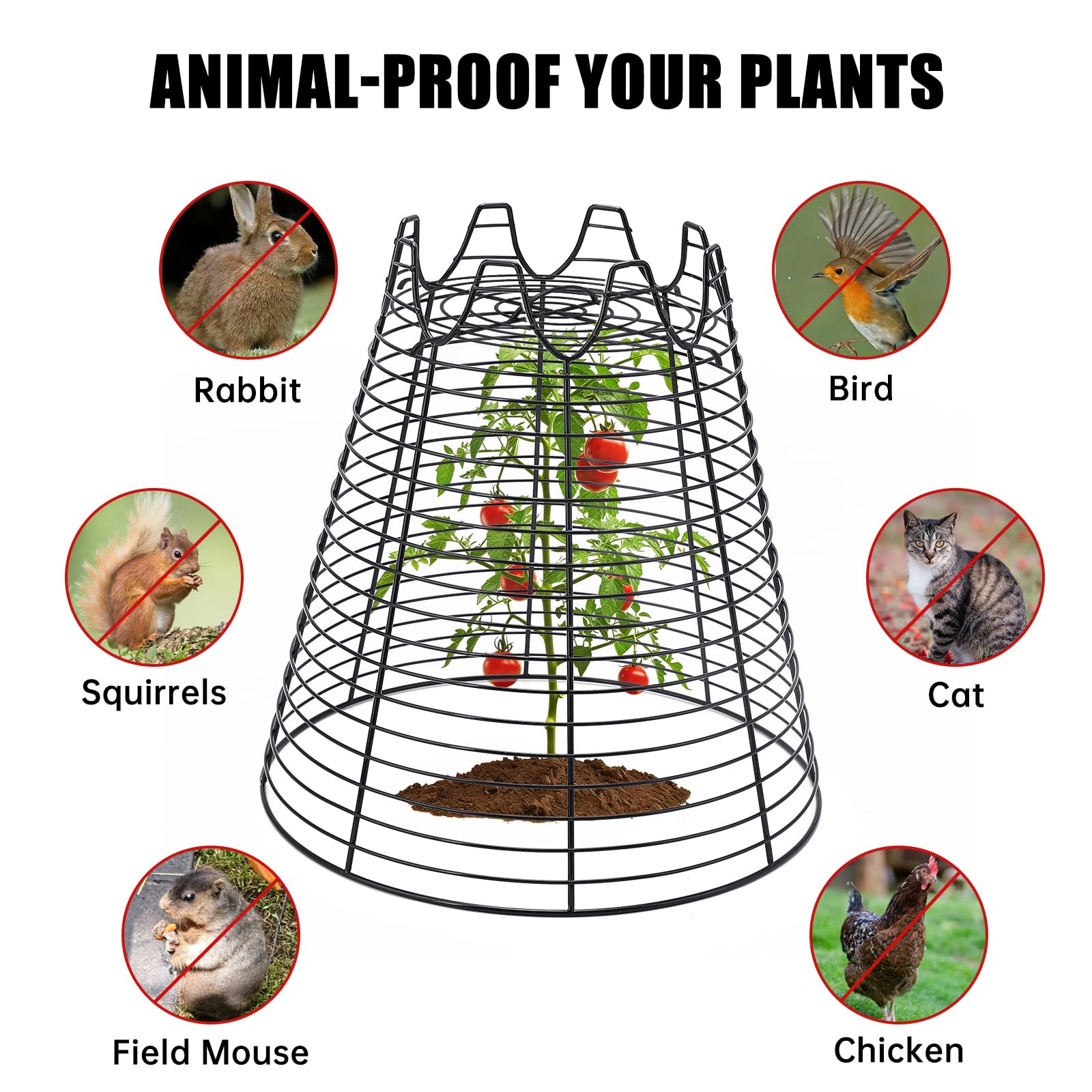 Qaobo wire grid detail demonstrating airflow and pest exclusion benefit