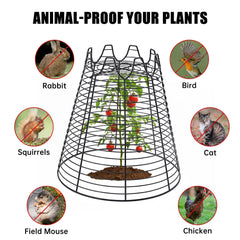 Qaobo wire grid detail demonstrating airflow and pest exclusion benefit