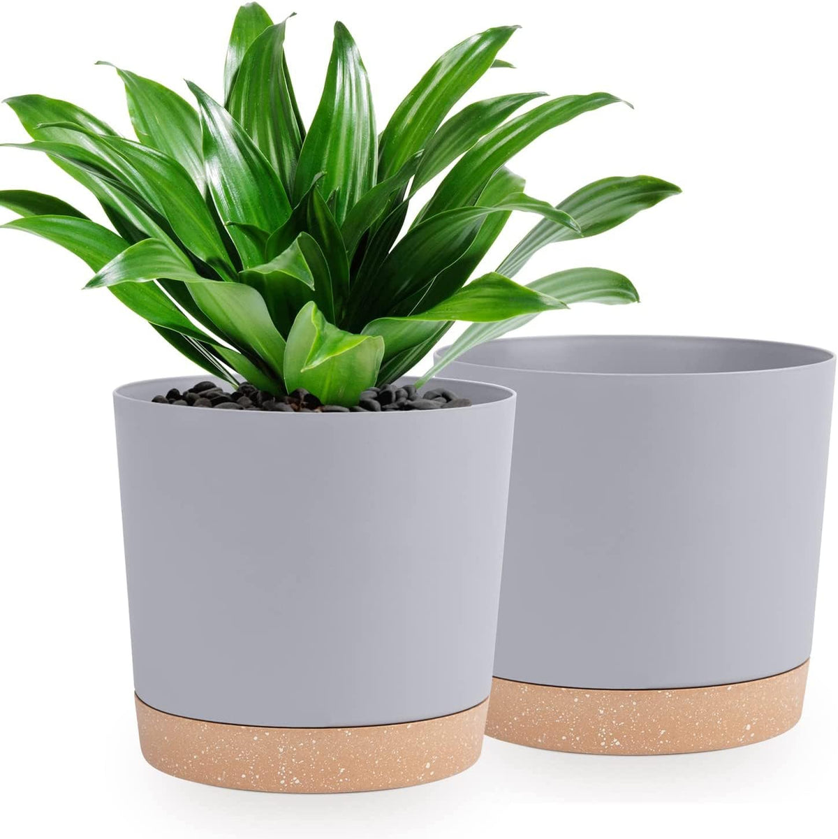 QCQHDU front view of 10 inch pot showing sleek matte design, stylish decor benefit