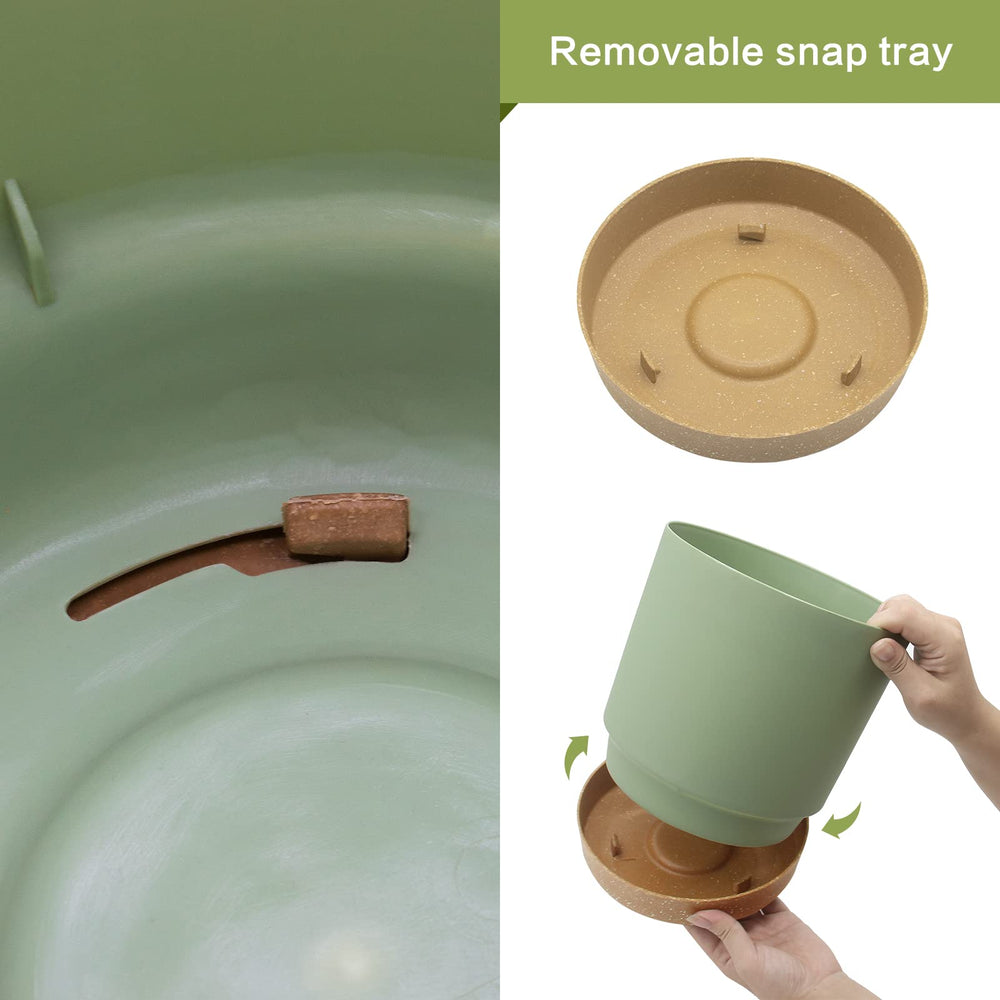 QCQHDU drainage hole and saucer capturing excess water to protect surfaces