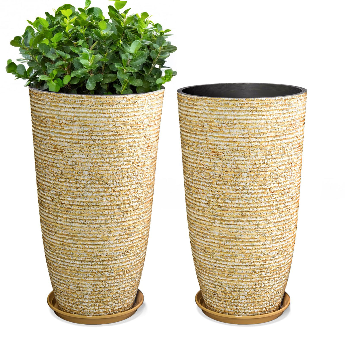 QCQHDU front view of two beige planters showing elegant tall profile and curb appeal