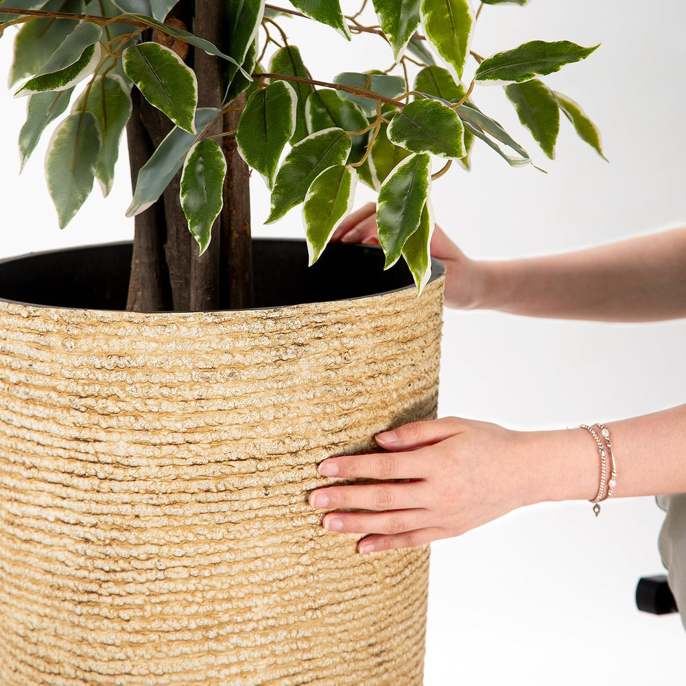QCQHDU planter in living room adding vertical greenery and interior decor benefit