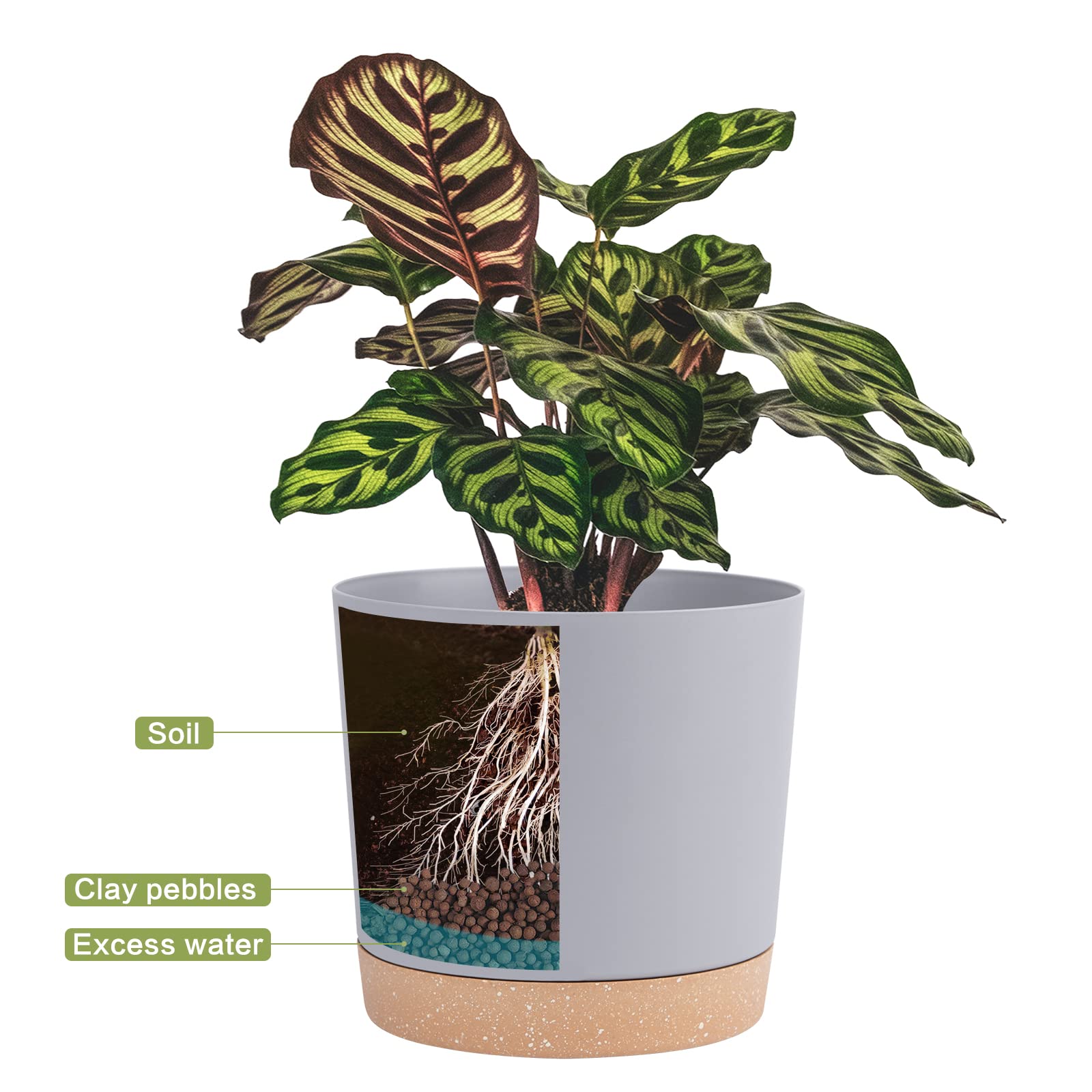 QCQHDU maceta con planta en interior que aporta verdor y estilo moderno