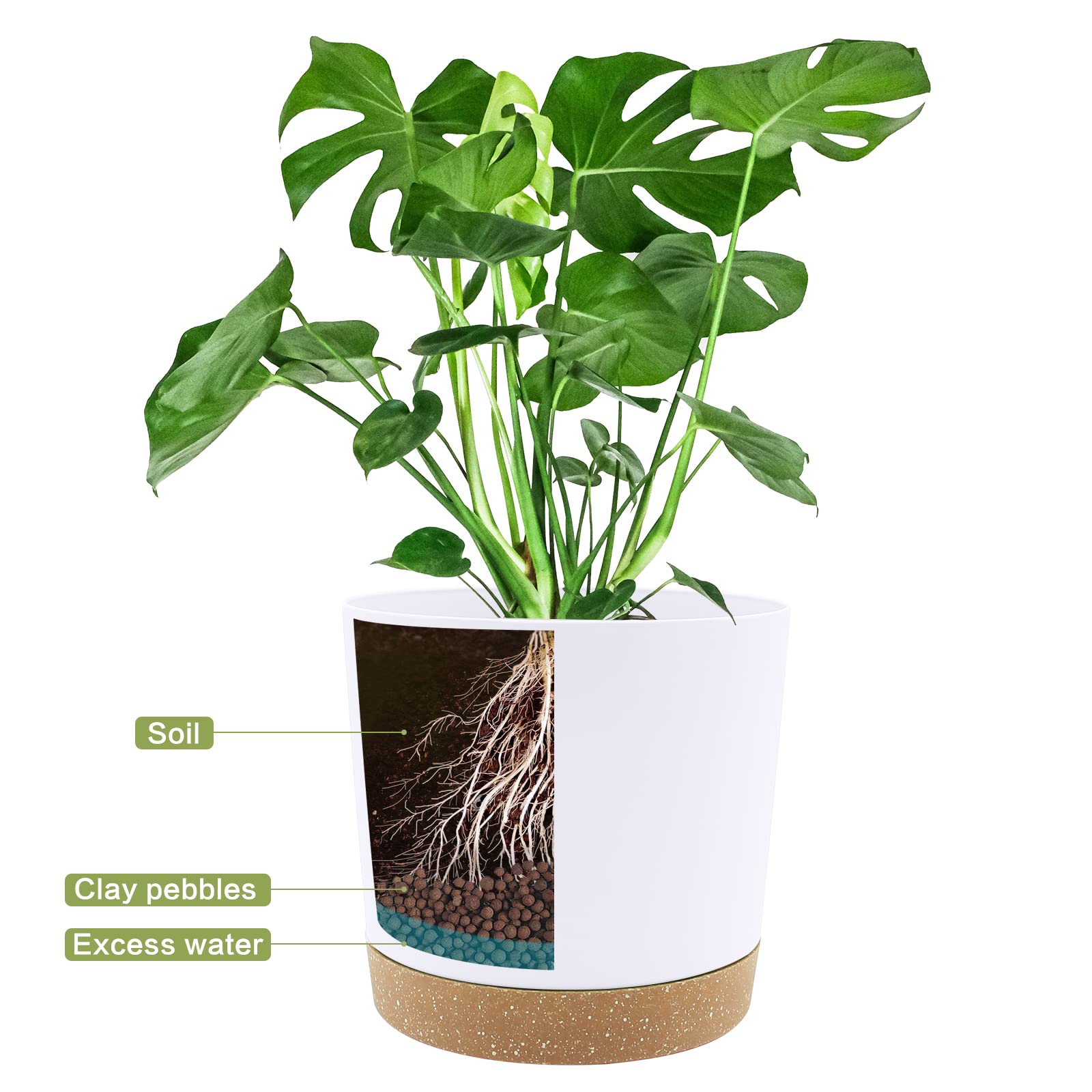 QCQHDU maceta con planta en salón aportando estilo y orden interior