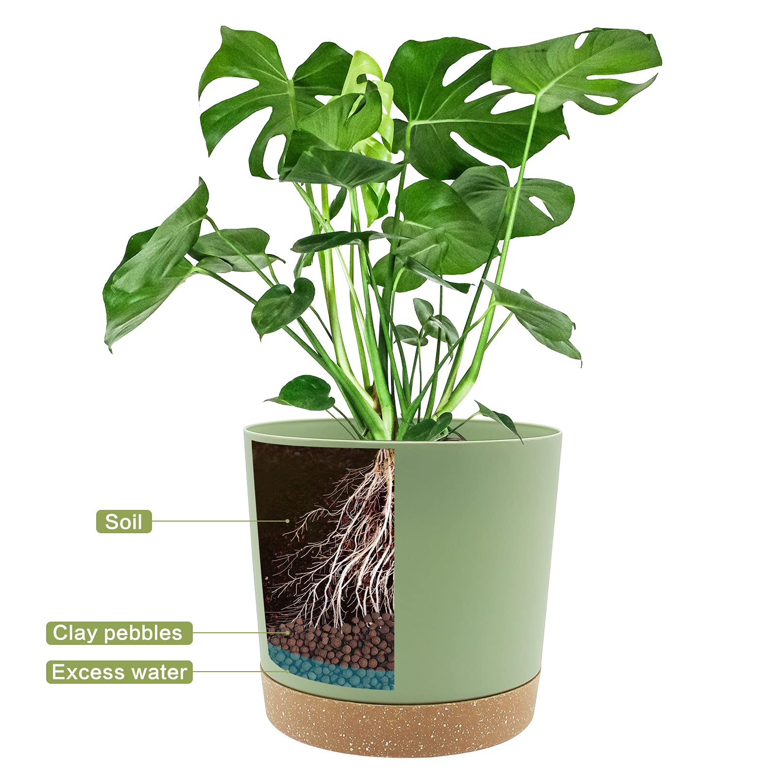 QCQHDU planted pot on kitchen counter adding clean modern greenery